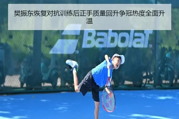 樊振东恢复对抗训练后正手质量回升争冠热度全面升温